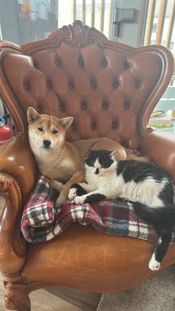 Kouma et Kiki